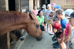 Prvňáčci na farmě