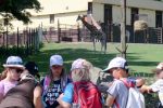 Školní výlet 2. A a 2. B do ZOO