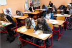 PRE-TESTY CAMBRIDGE ENGLISH
